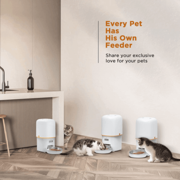 Alimentador Programável Comedouro Automático Cães Gatos Pet - Imagem 7